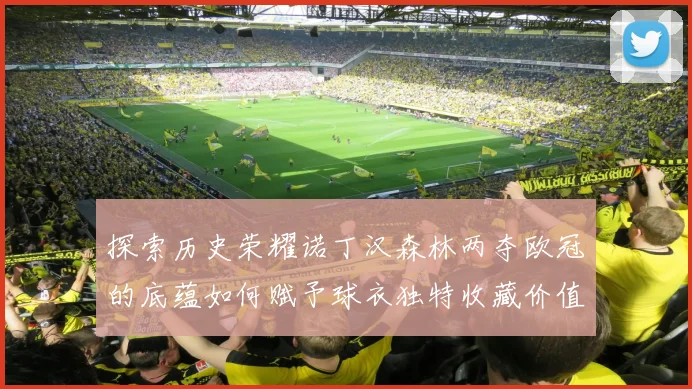 探索历史荣耀诺丁汉森林两夺欧冠的底蕴如何赋予球衣独特收藏价值